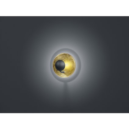 223810279 medium