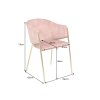Jídelní židle NOBLESS růžová se zlatými nohami