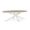 Oválný jídelní stůl ZELMAR světlý 218x115 cm