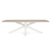 Zahradní jídelní stůl ZELMAR světlý 260x118 cm