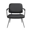 120110 a, Prescott lounge chair black black