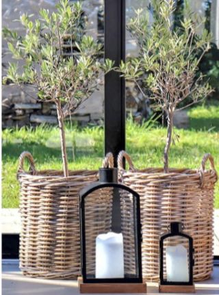 Už taky cítíte ve vzduchu jaro? 🌸🌿 Je nejvyšší čas oprášit rukavice, připravit hlínu a pustit se do sázení prvních jarních...