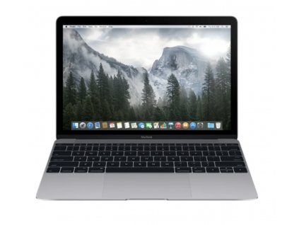 Apple MacBook 12 256 GB SSD / 8 GB Space Gray 2015