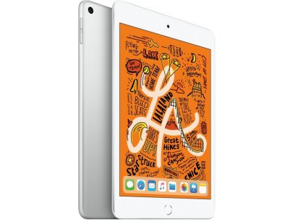 Apple iPad Mini 5 64GB, Wi Fi, Silver
