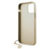 Guess 4G Charms Zadní Kryt pro iPhone 12 Pro Max 6.7 Grey2