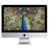 Apple iMac 21,5" 2013 2,7GHz / 8GB / 1TB / Intel Iris Pro