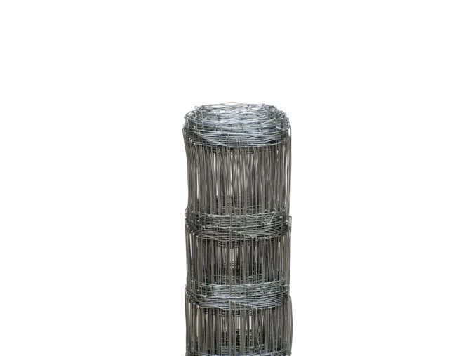 Untitled (79)
