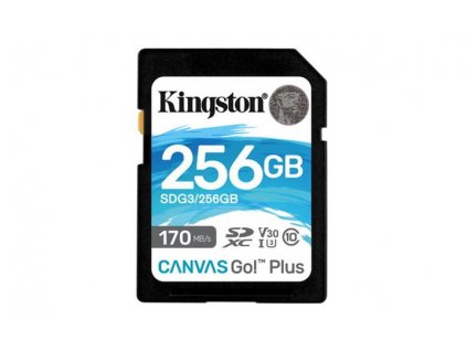 Kingston SDXC UHS-I U3 256GB SDG3/256GB