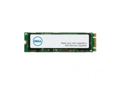 DELL disk 1TB SSD/ M.2 PCIe NVMe/ Class 40/ 2280