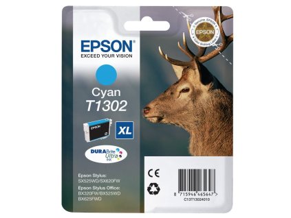 Epson C13T130240 - originální