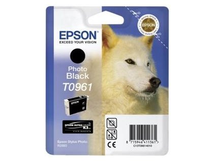 EPSON SP R2880 Photo Black (T0961)