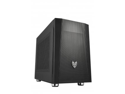 FSP CST350 PLUS/Micro ATX/Černá