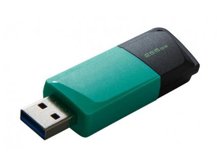 KINGSTON 256GB DataTraveler Exodia M 256 GB USB 3.2 1. generace (černá + tyrkysová)