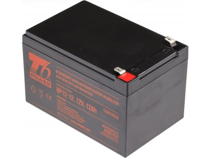 T6 power NP12-12 12V 12Ah