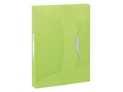 Esselte box na dokumenty VIVIDA, 40 mm, zelená