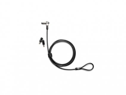 HP Nano Keyed Cable Lock (x2)