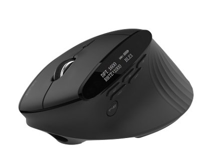 12a429bb2a191c13e124ac1859b8d961