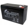 FSP 12V/7Ah baterie pro UPS FSP