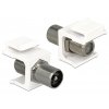 Delock Keystone Module IEC plug > F jack 86362