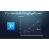 Customizable Charging Current