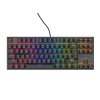 Genesis tichá herní klávesnice THOR 303/TKL/RGB/Outemu Peach/Drátová USB/CZ-SK layout/Černá