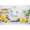 1034 10 ankarsrum assitent original juice 1 01