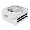 AORUS ELITE P1000W 80 Platinum Modular PCIe 5.0 ICE 04