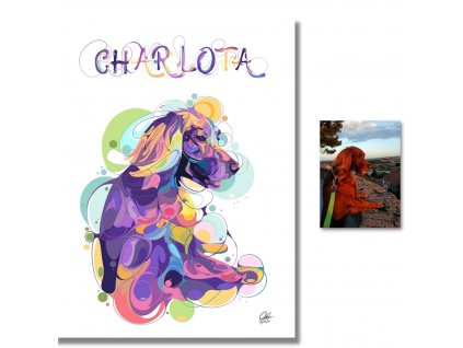 Portret RIO mazlicek podle fotografie irsky setr