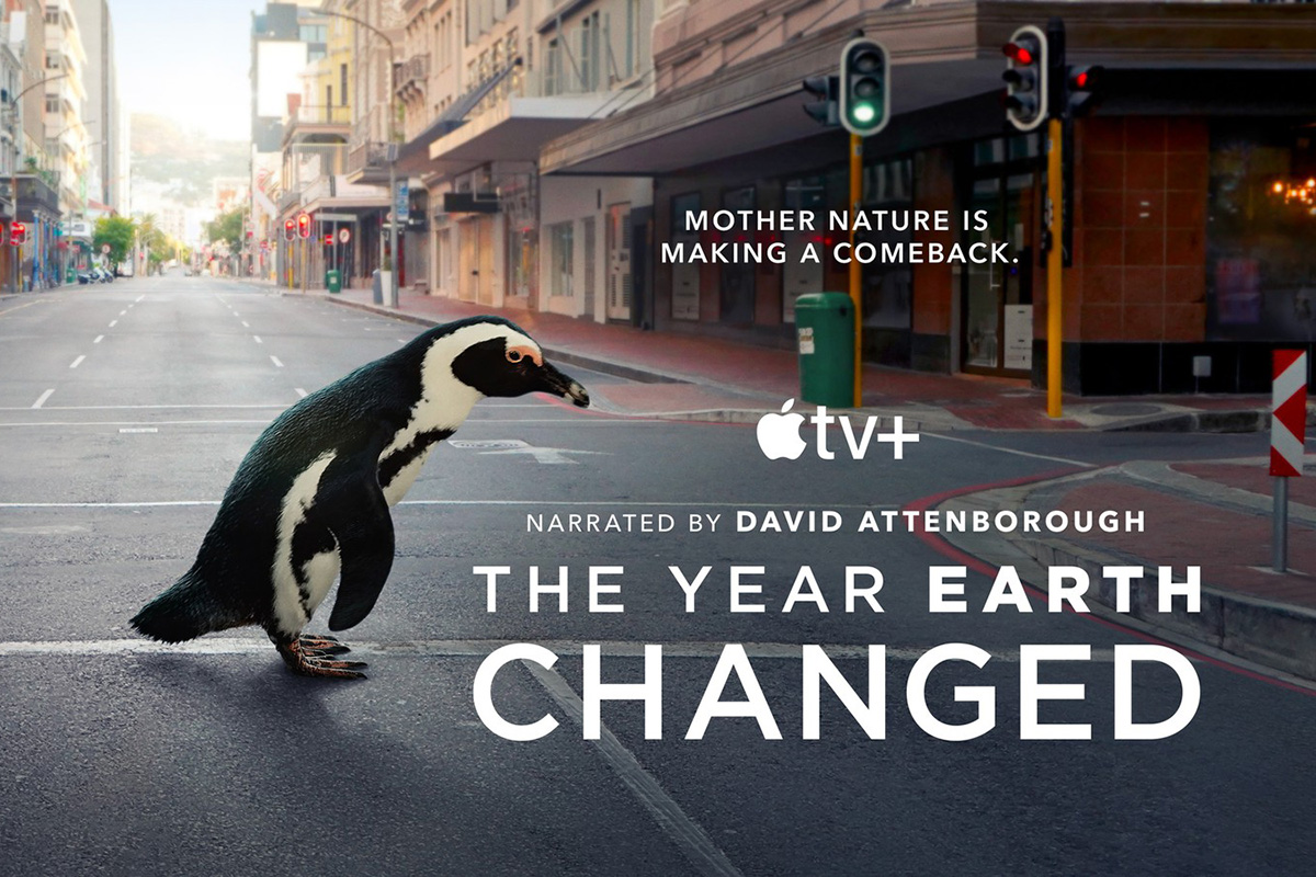 Rok, který změnil Zemi ukazuje přírodu po covidu