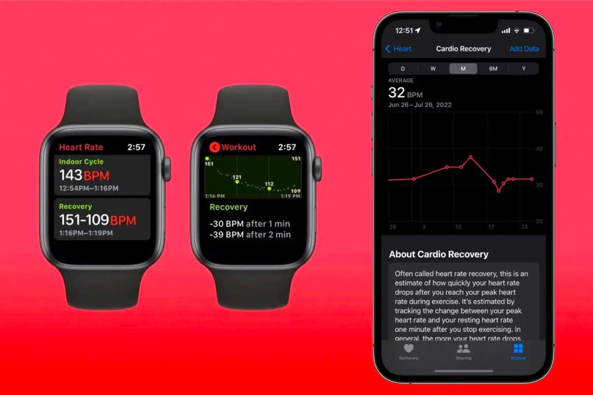 Uklidnění kardiovaskulárního systému odhalí stav vašeho zdraví