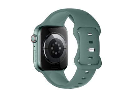 Řemínek pro Apple Watch 38mm / 40mm / 41mm - Hoco, WA15 Flexible Pine Green