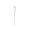 Originální kabel - Apple, USB-C/Lightning 100cm