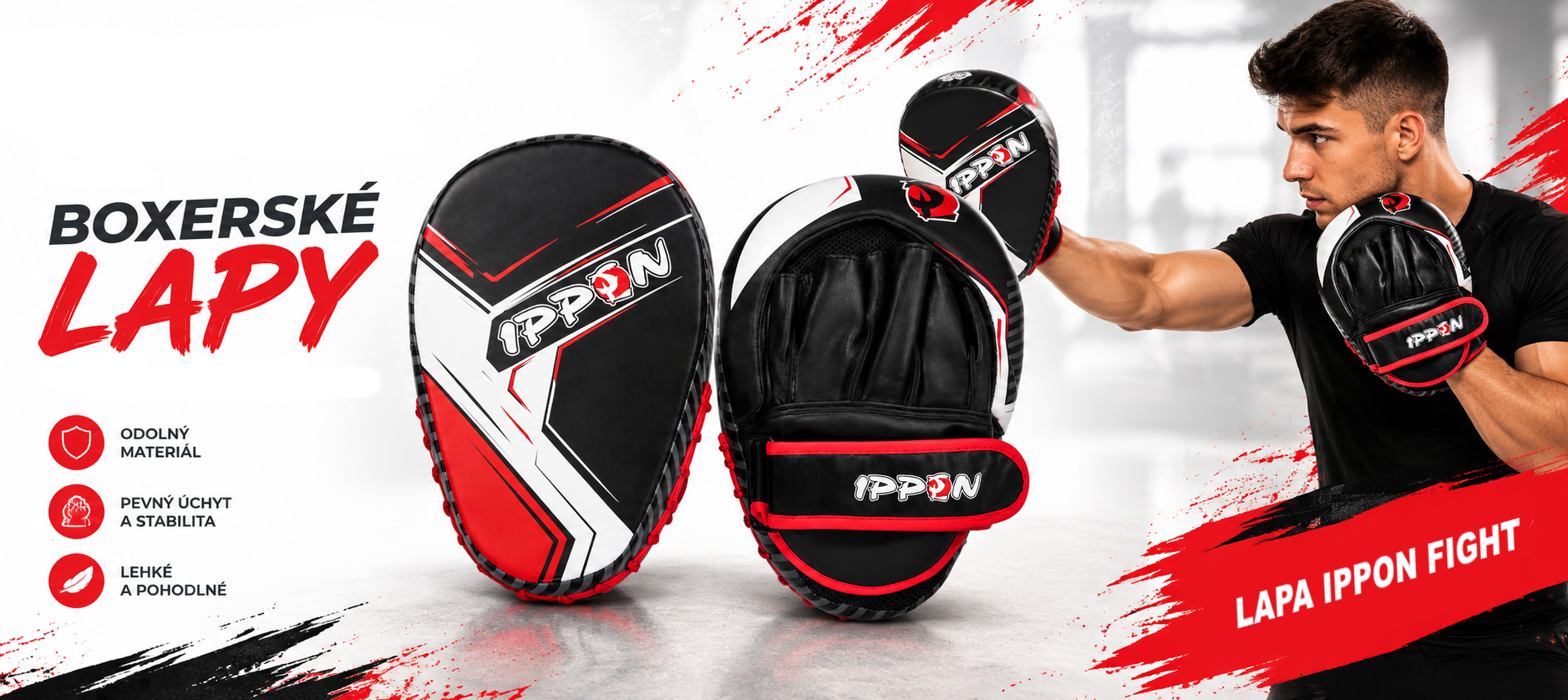 LAPA IPPON FIGHT