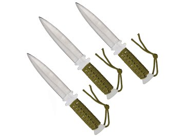 11147 4 20240820 083839 kopie