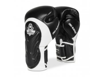 Boxerské rukavice DBX BUSHIDO BB5 (Velikost 10oz)