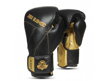Boxerské rukavice DBX BUSHIDO B-2v14 (Velikost 10oz.)