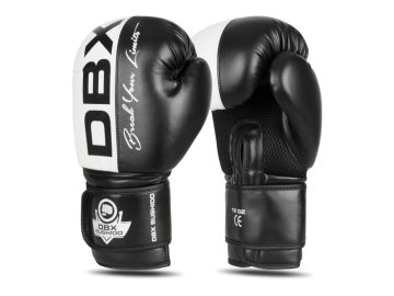 Boxerské rukavice DBX BUSHIDO B-2v20 (Velikost 10oz)