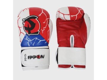 boxerské rukavice ippon czech pu
