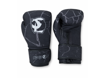 BOXERSKÉ RUKAVICE IPPON FABRIC