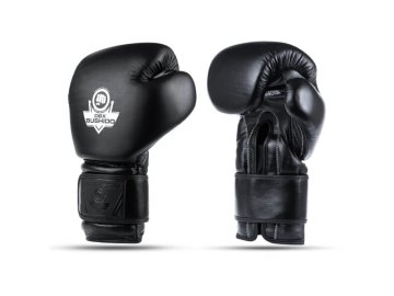 Boxerské rukavice DBX BUSHIDO B-ProFight (Velikost 10oz.)