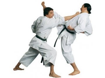 Hayashi kimono Karate Tenno Elite (Barva Bílá, Velikost 160)