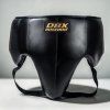 DBX GG1 MAXI 05