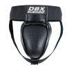 DBX GG2 MAXI 01