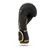 Boxerské rukavice DBX BUSHIDO Gold Dragon (Velikost 8oz.)