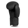 Boxerské rukavice DBX BUSHIDO B-2v21 (Velikost 10oz.)