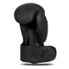 Boxerské rukavice DBX BUSHIDO B-2v21 (Velikost 10oz.)