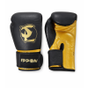 BOXERSKÉ RUKAVICE IPPON THAI GOLD