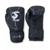 BOXERSKÉ RUKAVICE IPPON FABRIC