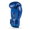 Boxerské rukavice DBX BUSHIDO ARB-407-Blue (Velikost 10oz)