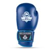Boxerské rukavice DBX BUSHIDO ARB-407-Blue (Velikost 10oz)